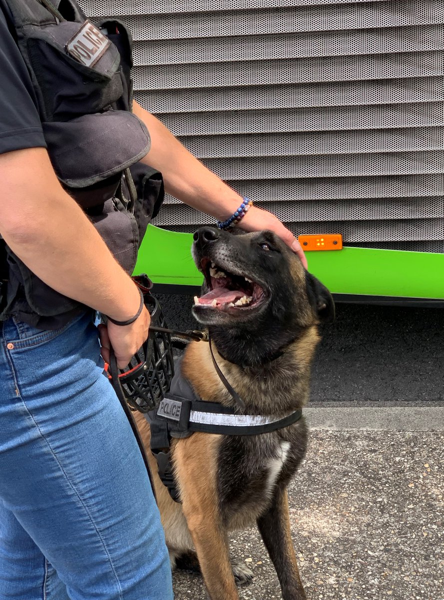 #JournéeMondialeDesAnimaux | Fiers de nos chiens policiers qui nous accompagnent chaque jour dans nos missions ! 🐶👮