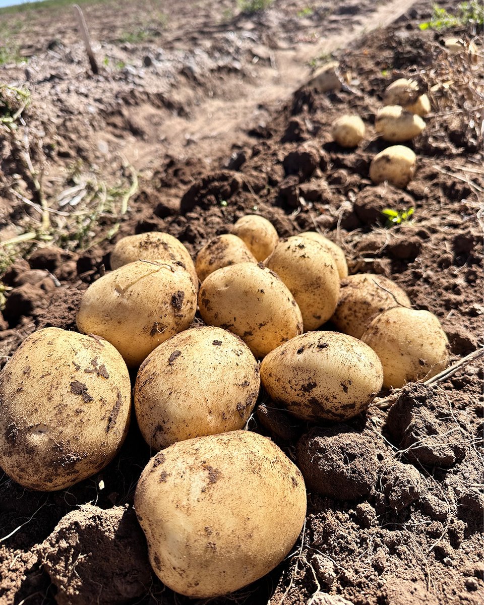 EarthFresh tweet media