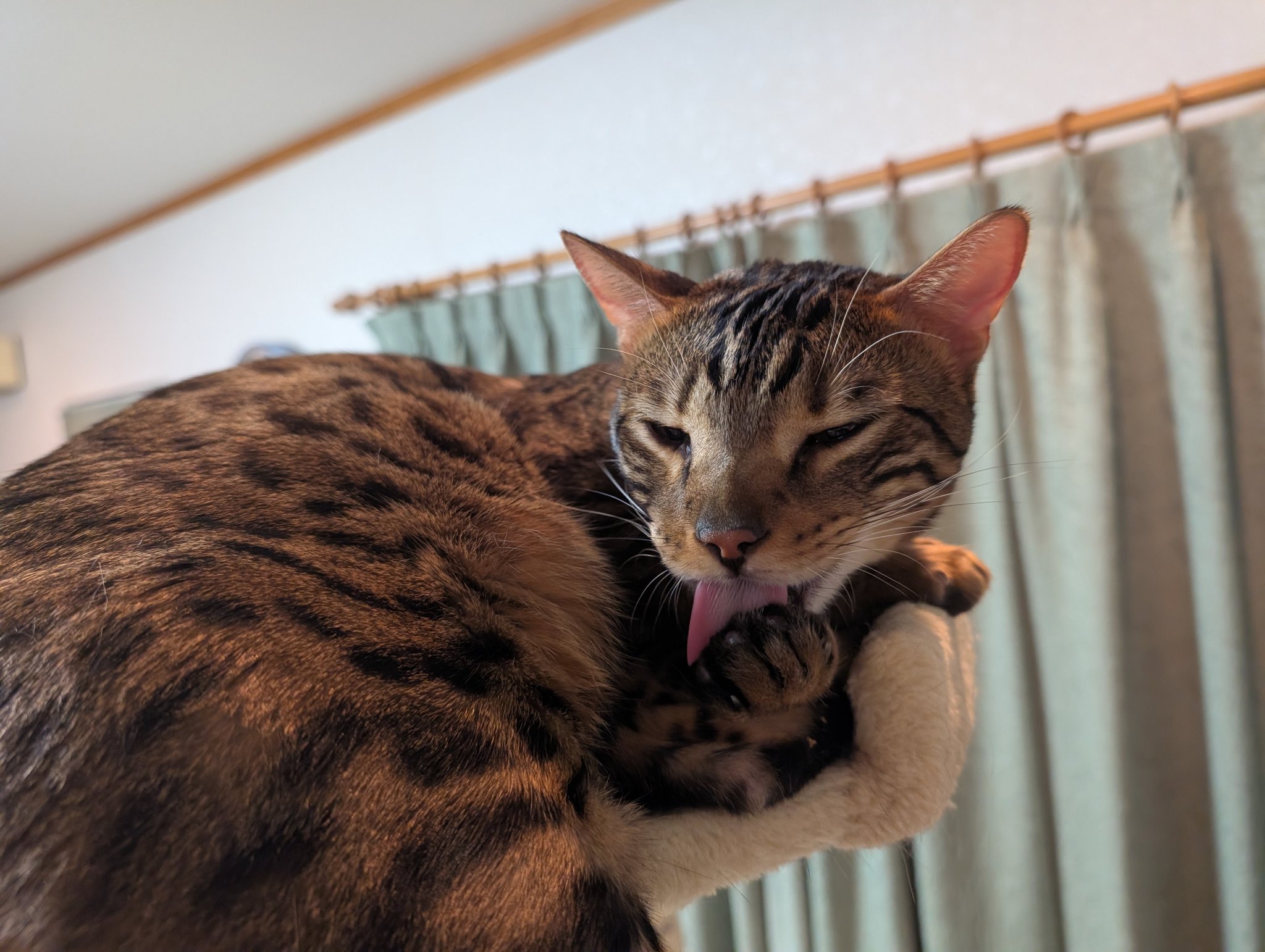 ふう on X: 