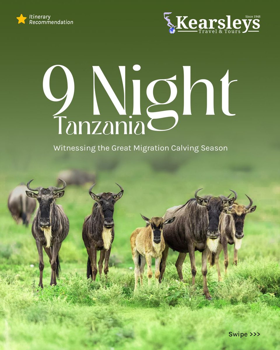 kearsleys's tweet photo. ✨ 9 Nights in Tanzania that felt like a dream.

#TanzaniaSafari #CalvingSeason #GreatMigration #SafariExperience #SerengetiSafari #NgorongoroCrater #TarangireNationalPark #ZanzibarAndBeyond #LuxuryTravelAfrica #KearsleysTravel #DCTravels #SanFransicoToTanzania https://t.co/7cVGSmLBCz