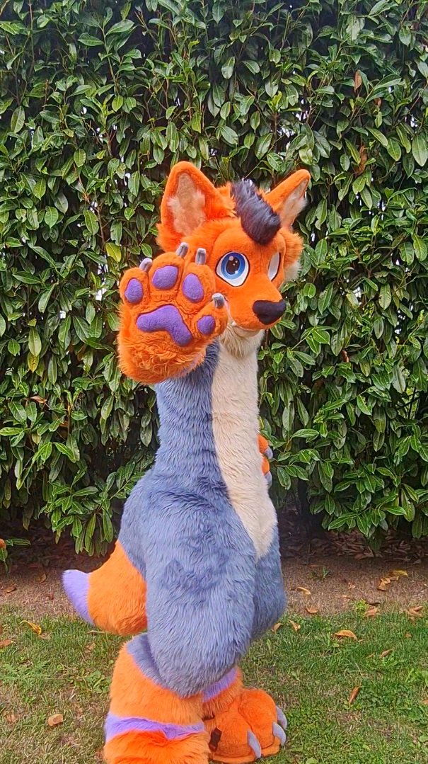 Arrête de scroll, c'est le moment de poster une photo pour la #FursuitFriday !

🪡 <a href="/StellaGryphon/">Stella Gryphon</a>

#furry #fursuit
