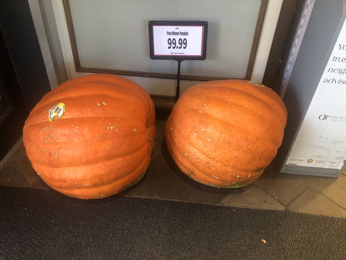 Never seen this before. Humongous pumpkins for sale at local grocery store for $99.99!
