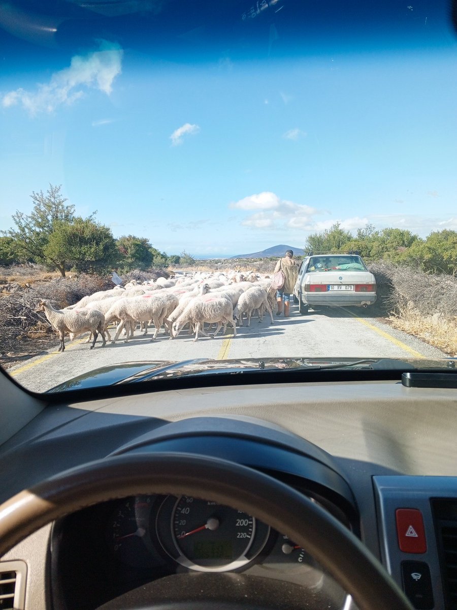 Yolu kapatmışlar, miting mi yapıyor bunlar? 🐑 🤨