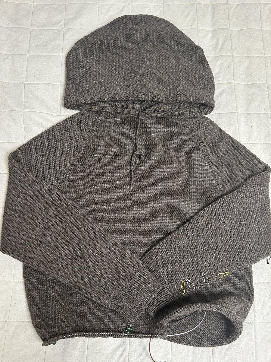 어엿한 후디가 되어가고 있잖아!!!!!