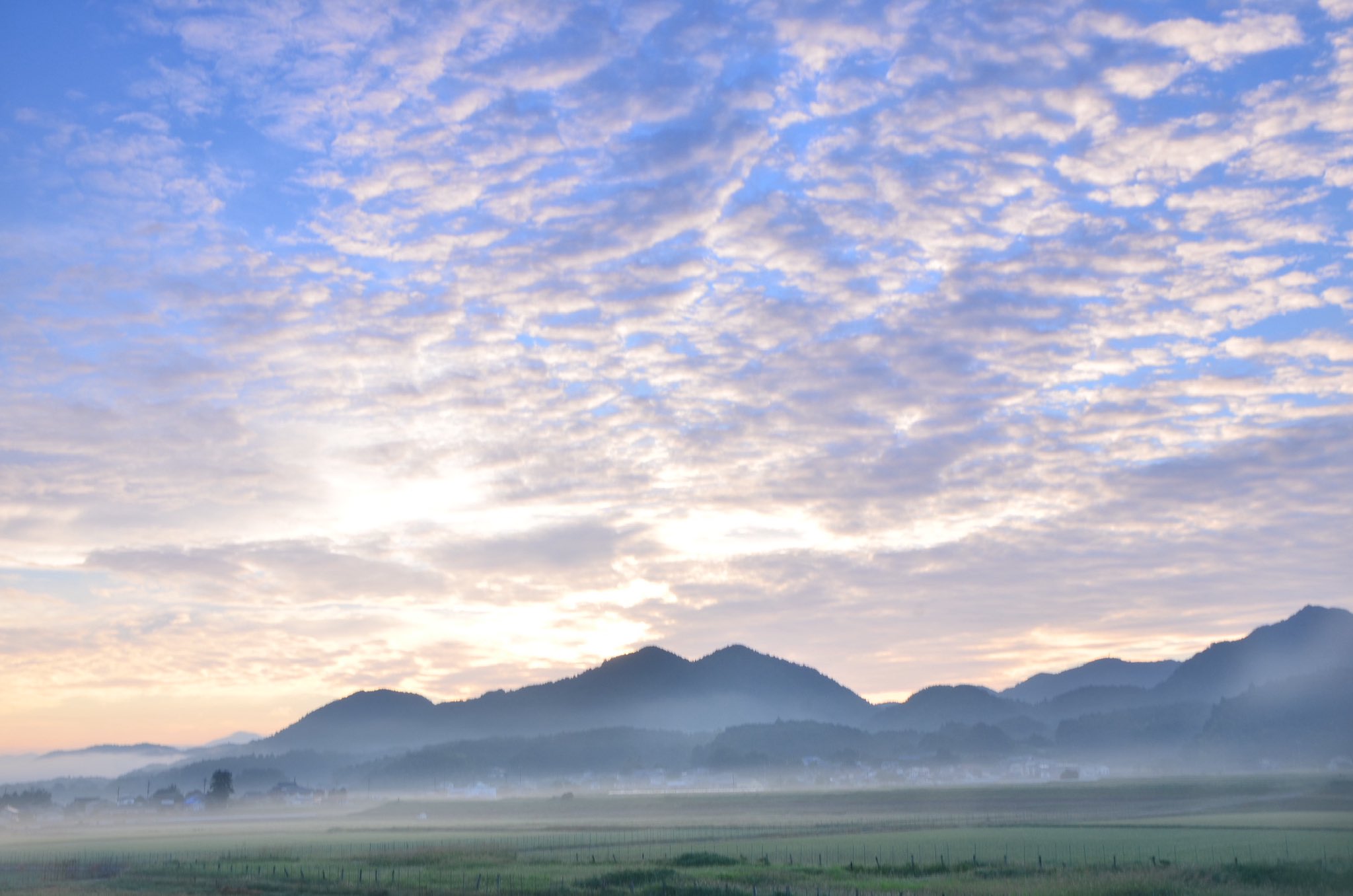 HIROSHI YAMAKAWA FilmPhotographer俺は芸術王になる🤞 on X: 