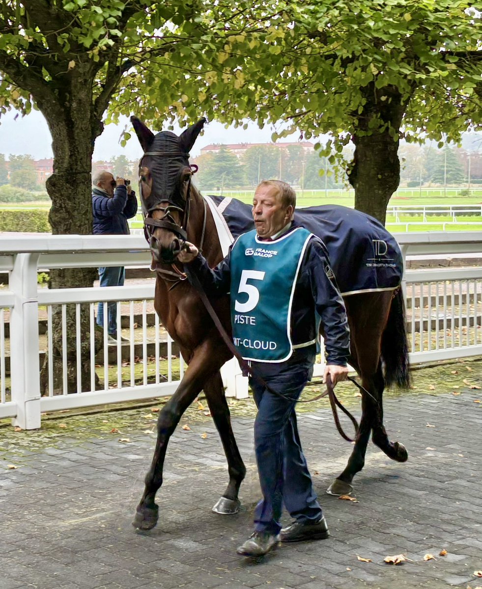flutter61's tweet image. Star Galaxy @SyndicatesHQ @TDonworthRacing at St Cloud before the PrixCoronation 😊🐎🇫🇷