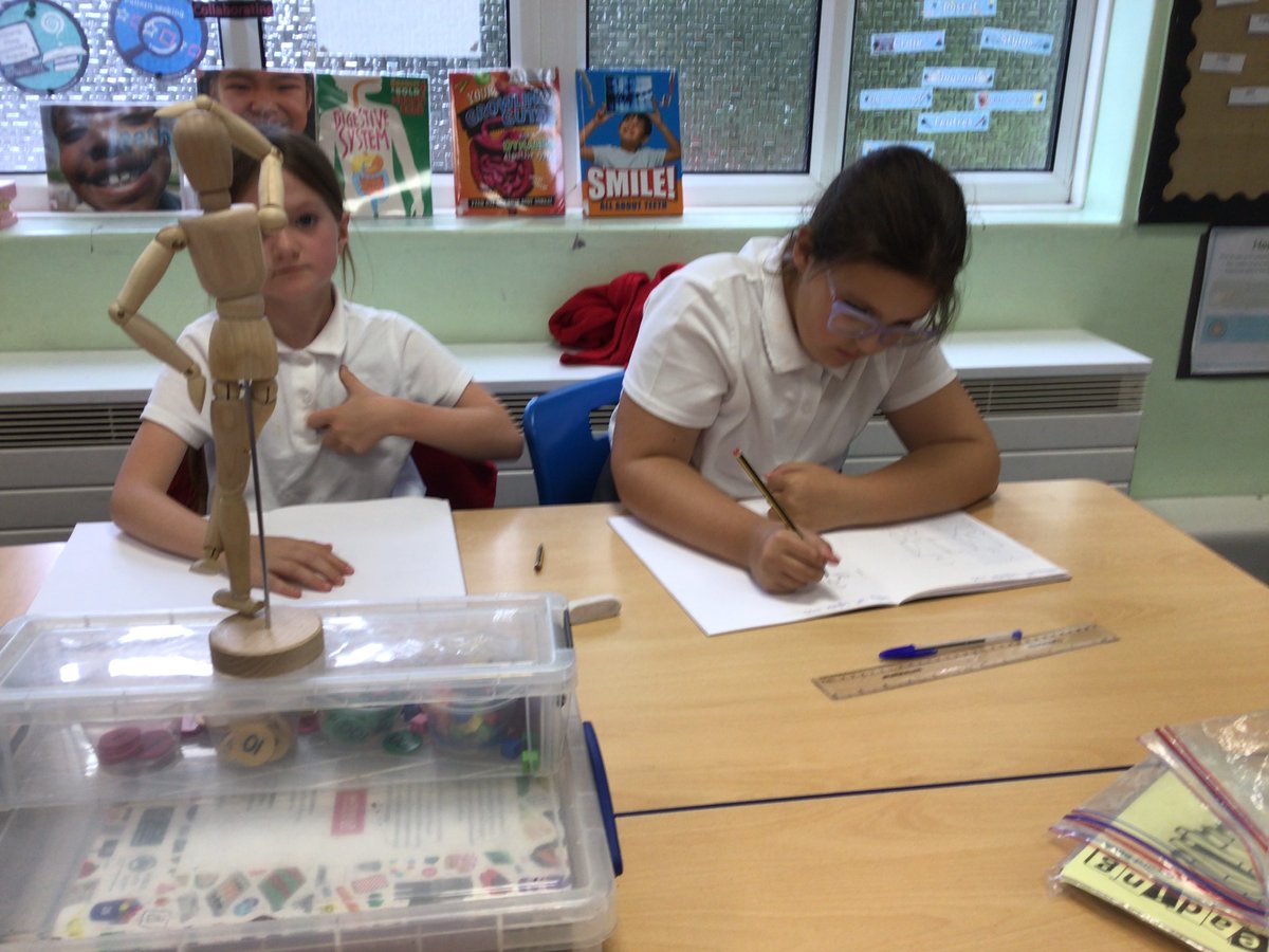 Woodlea Tiger Class tweet media