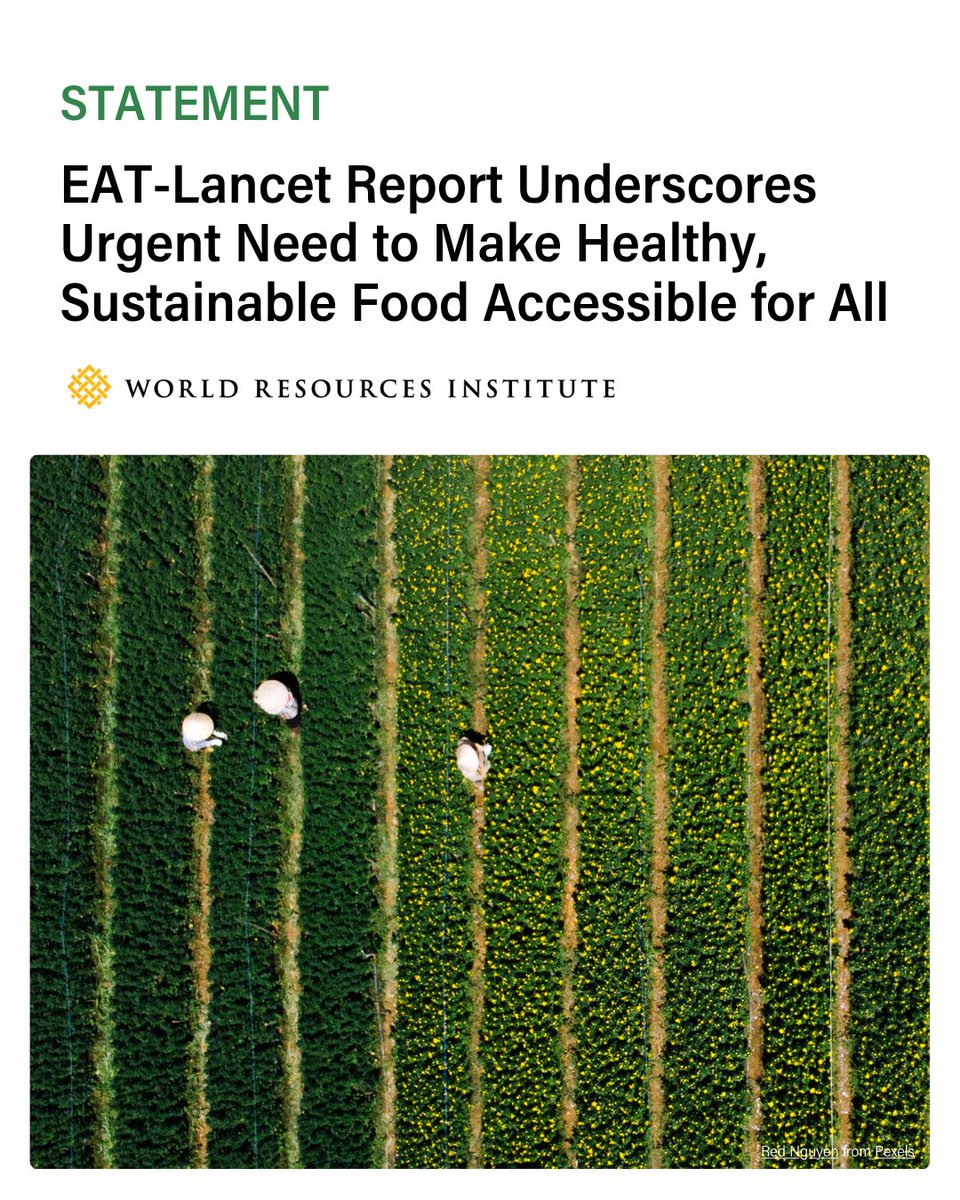 World Resources Institute tweet media