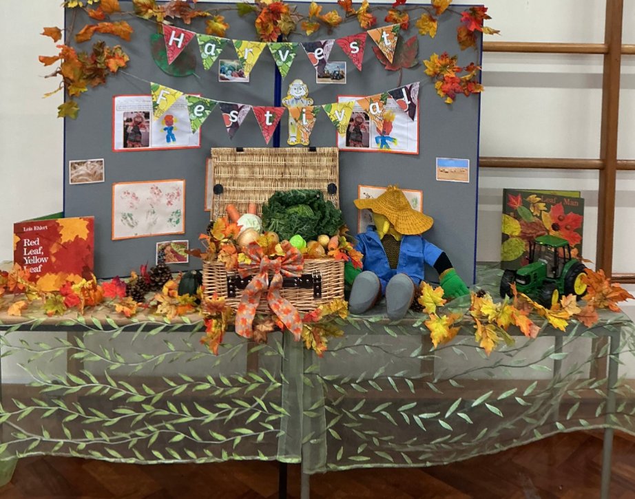 Rosedale Primary School tweet media