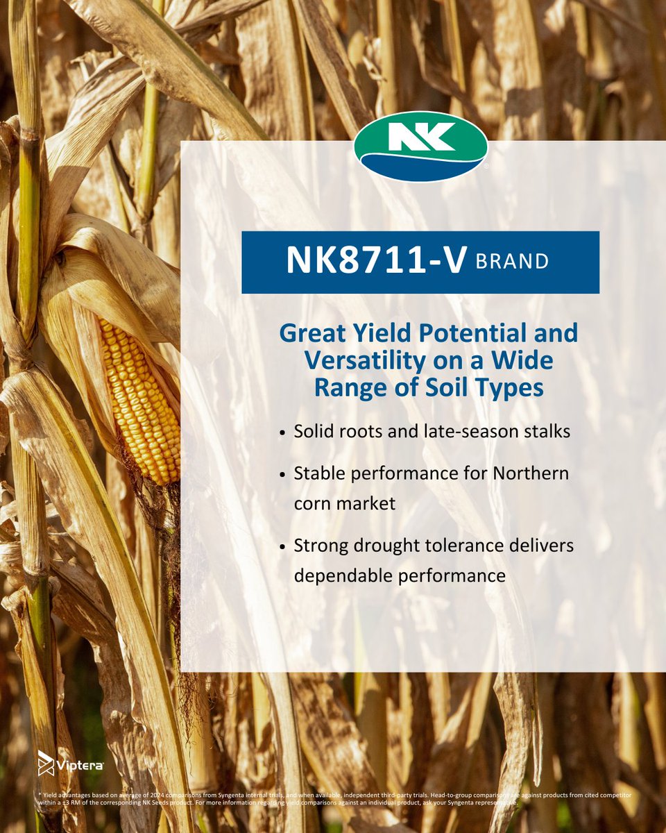 NK Seeds tweet media