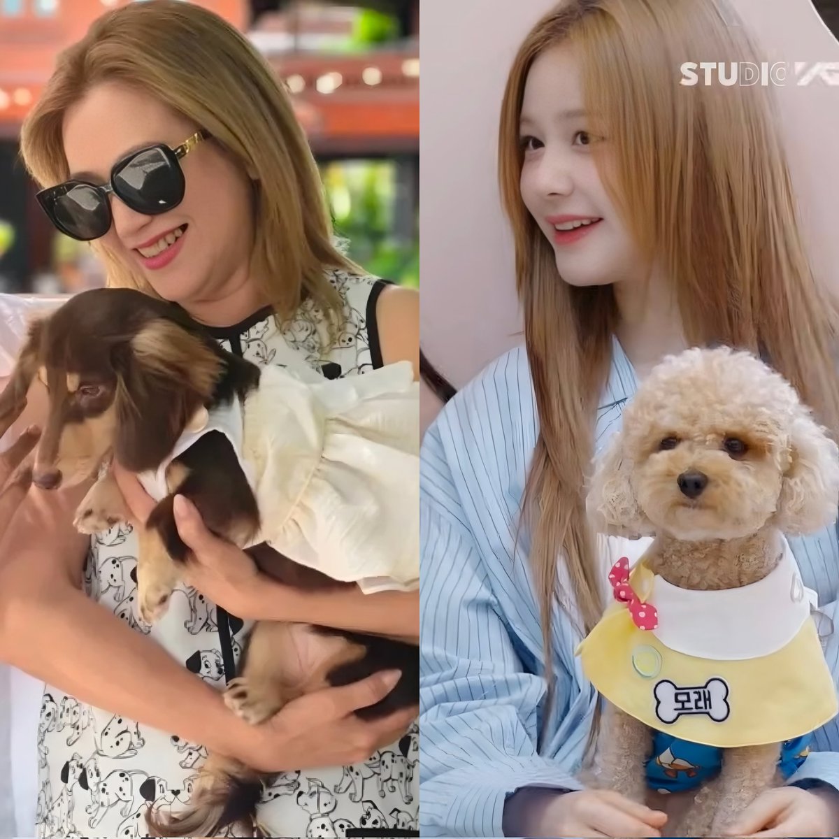 🌟เมื่อวานคุณแม่น้องลงภาพไปเที่ยวกับคุณแม่พี่ลิบนไอจีส่วนตัวโดยพาน้องหมาไปเที่ยวด้วย วันนี้คุณลูกก็พาน้องหมามาอวดเช่นกัน ไม่ยอมกันสุดซู้ดดด 🐶
#PHARITA #BABYMONSTER #BAEMON_HOUSE_EP5