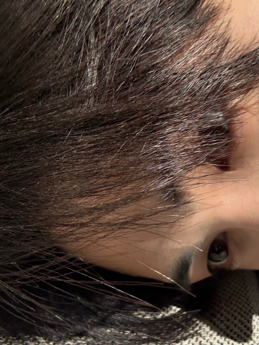 내 고양이가 이만큼이나 귀여워요