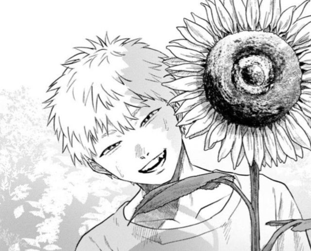 kittycherii's tweet photo. 'hikaru' is the sunflower and yoshiki is the sun https://t.co/cagSKreIFr