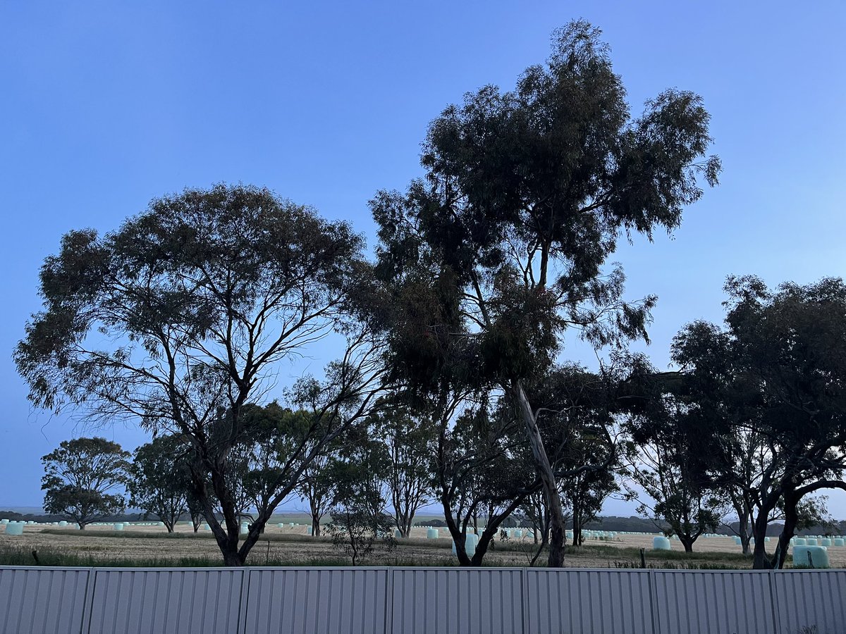 Matthew Bell tweet media