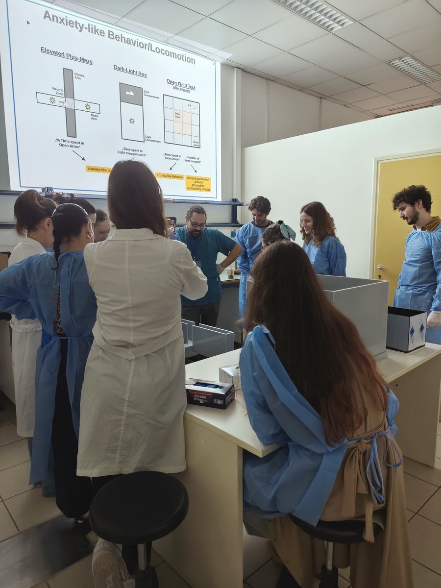 MitoStress's tweet photo. Last week, our lab held a workshop on in vivo animal experimentation, during the 'The Limbic Stuctures Of The Brain: From Bench To Bedside' Summer School 🧠
Participants got acquainted with concepts of #behavior, #phenotyping &amp; animal handling 🐭
🧑‍🔬 Instructor: Markus Nussbaumer https://t.co/6NrmRbORF2