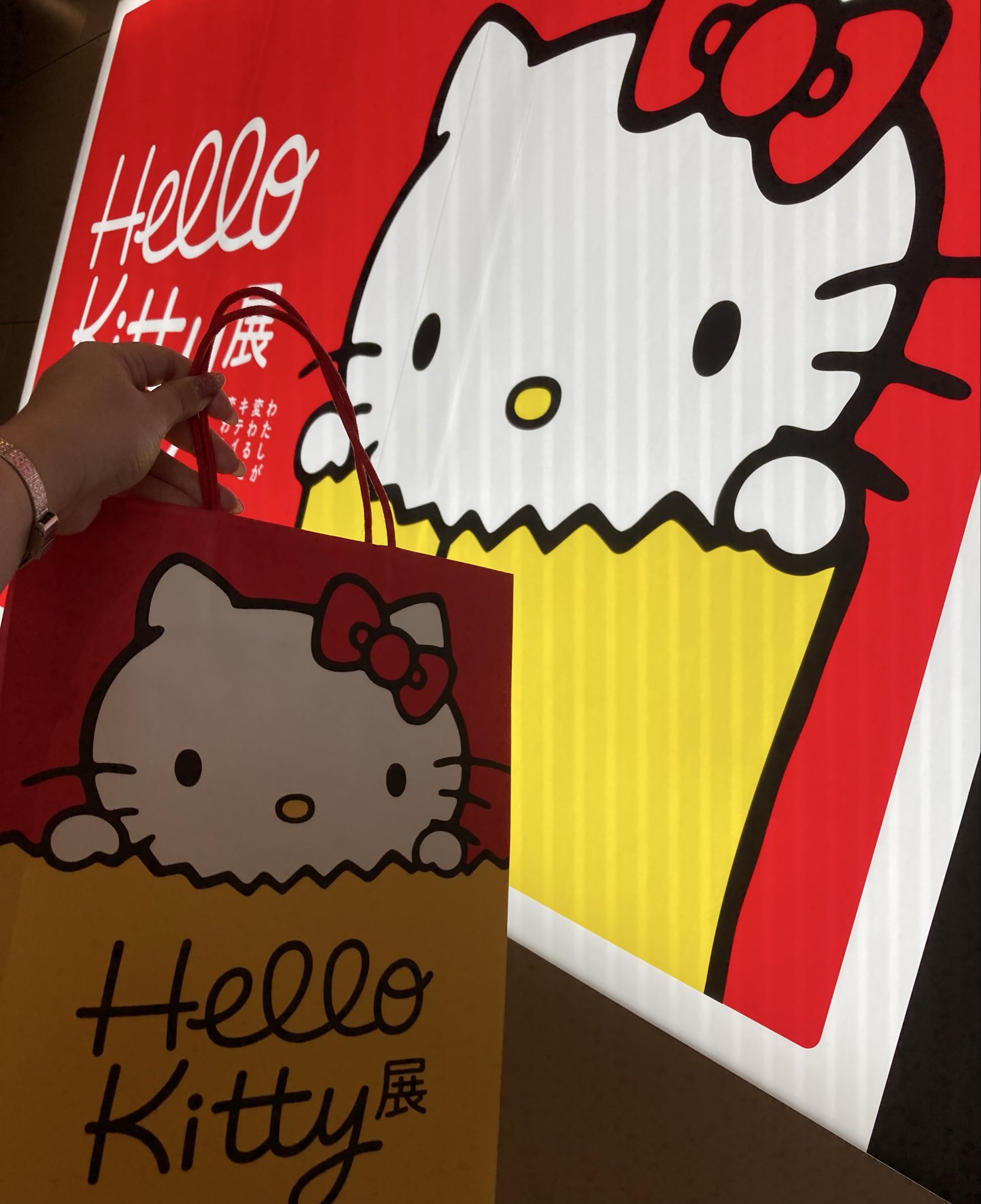 レア❣️未使用未開封！ご当地キティ東京西新井大師.ほおずき市、茗荷谷、花3点 楽天市場】キティ 50thアニバーサリー 未来のスケジュール帳