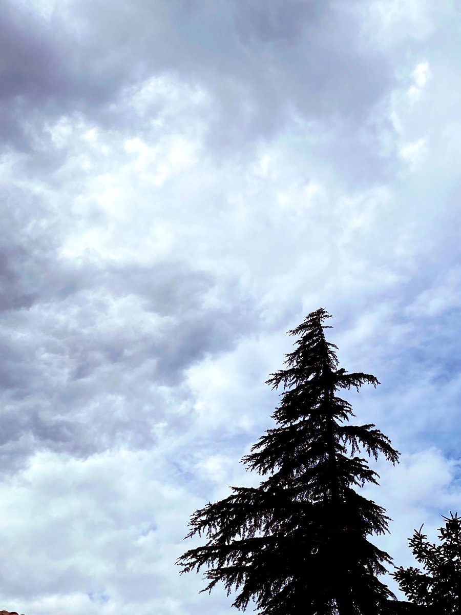 Edith Piaf dinlemek için güzel bir hava :) 🎶🎶

youtu.be/Q3Kvu6Kgp88?si…