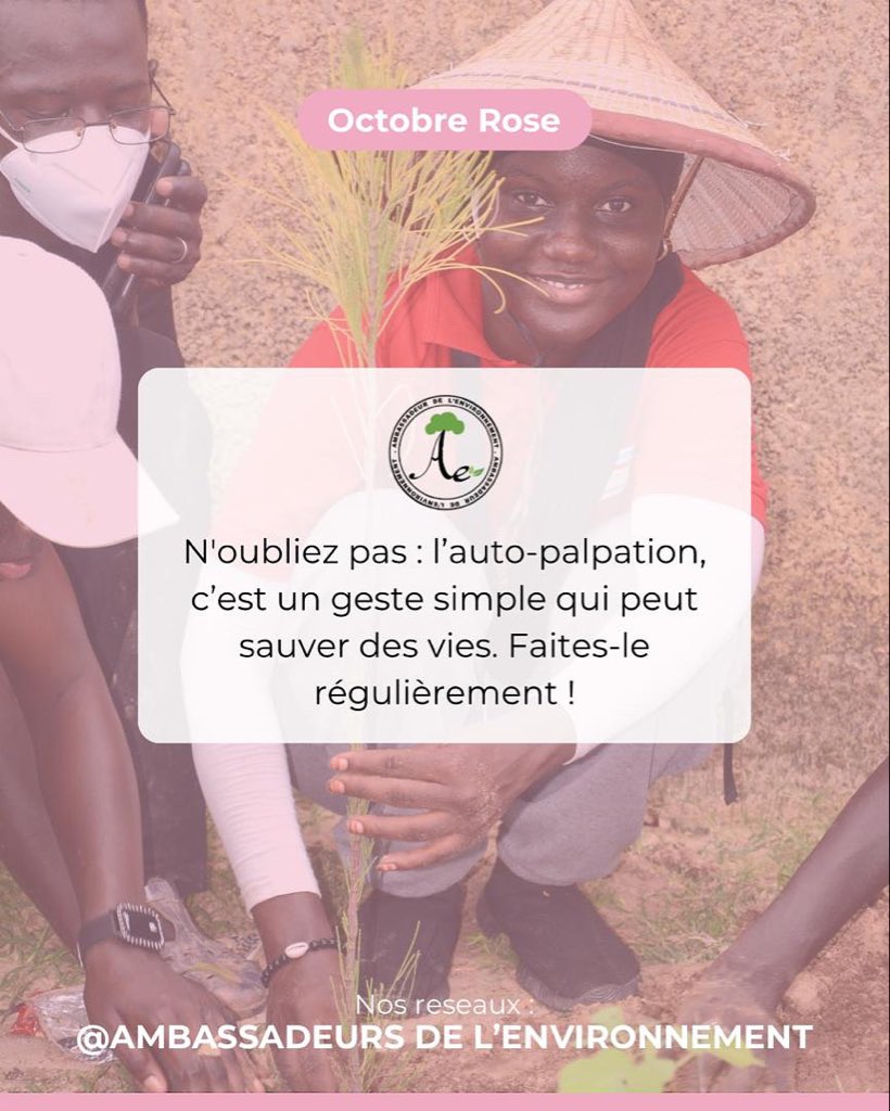 🇸🇳Ambassadeur🌳de l’environnement🌳 tweet media