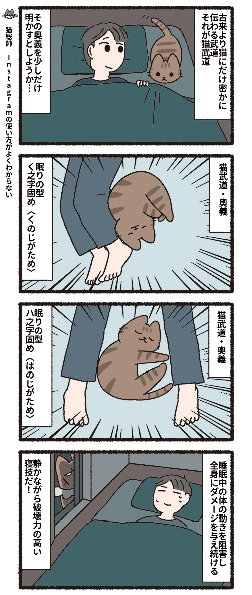 悪の秘密結社ネコ(3/3)#悪の秘密結社ネコ 