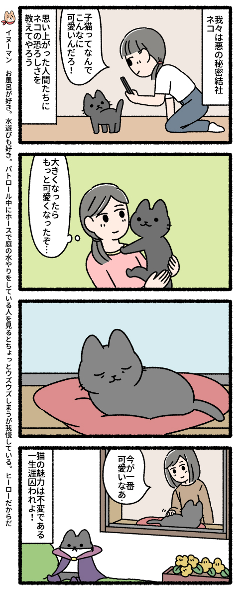 悪の秘密結社ネコ(3/3)#悪の秘密結社ネコ 