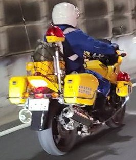 サンバカップル (@sambacp) on Twitter photo 捕まらずに済みました😅 捕まらずに済みました😅