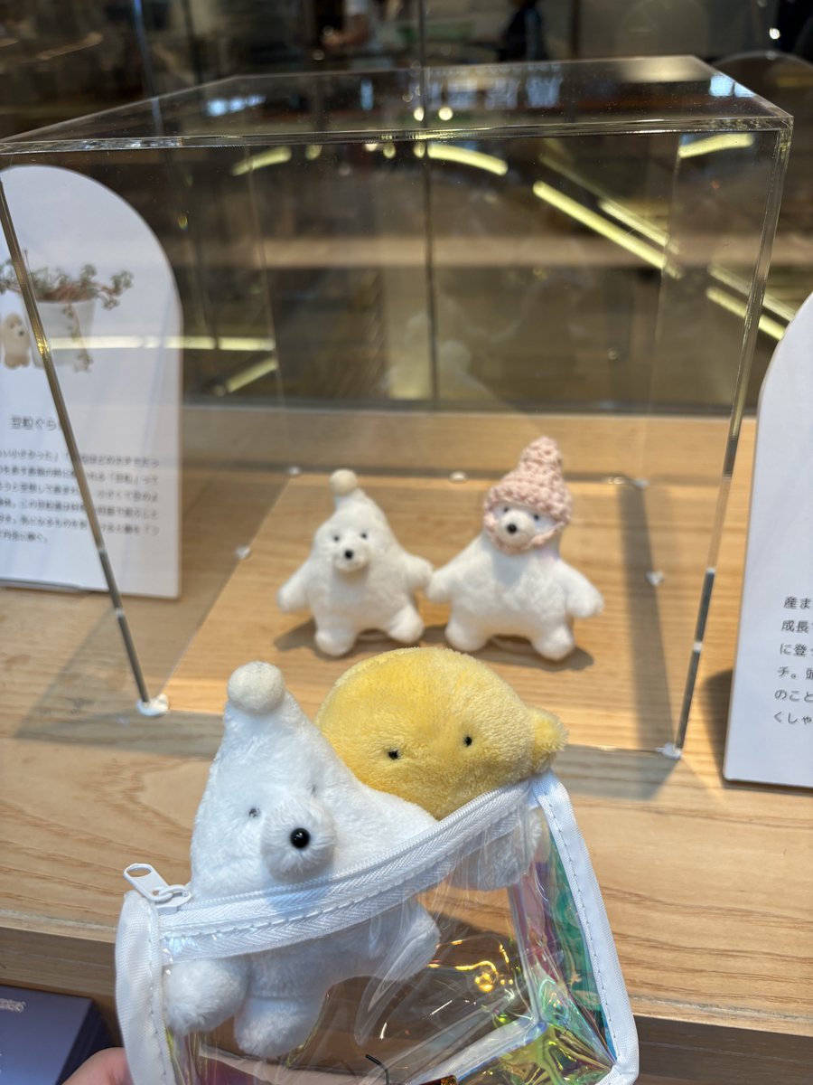 サメのヒレ　空想アパートメント ② Amazon.co.jp: Azb.Studio Shark Mageddon ~ Unleashed Fusion