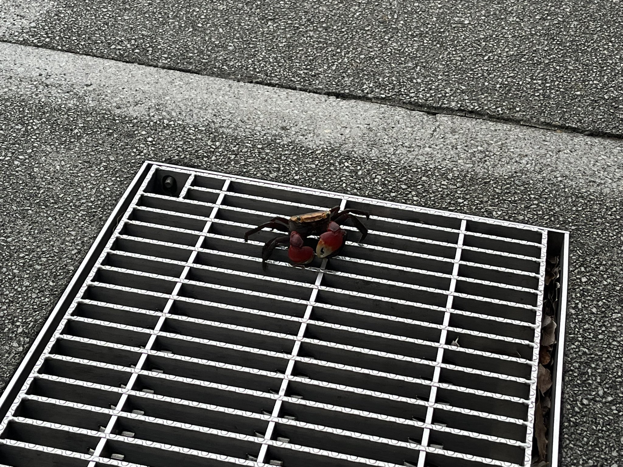 つじたろう様　専用 楽天市場】Y's factory 和柄 トランクス メンズ 下着 前開き 綿