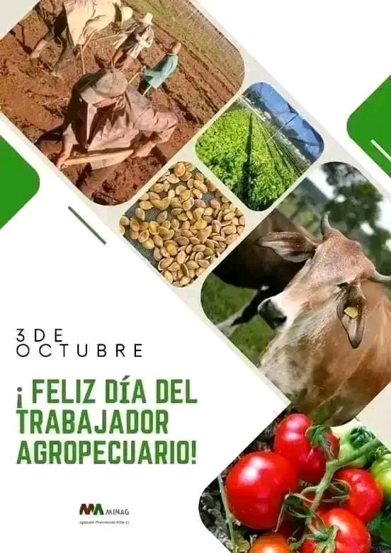 Muchas felicidades para todos los trabajadores Agropecuarios les deseamos desde #EducaciónGuantánamo, <a href="/CubaMined/">MINED</a>, <a href="/DiazCanel/">Oscar Diaz-Canel</a> <a href="/naimatrujillob/">Naima Ariatne Trujillo Barreto</a> <a href="/nancyguantanamo/">Nancy Leliebre Revilla | Comunicación Social</a> <a href="/DrRobertoMOjeda/">Dr. Roberto Morales Ojeda</a> <a href="/Marlen31443761/">Marlen Triana Mederos 🌷</a> <a href="/villafruel900/">Raquel Laviste Villafruela</a> <a href="/PartidoPCC/">Partido Comunista de Cuba</a> <a href="/AlisAzahares/">Alis Azahares</a> <a href="/1raTrinchera/">PrimeraTrinchera❤️🇨🇺</a>, @GHodelin6063 <a href="/yoeaberob1/">Yoel Perez Garcia</a>