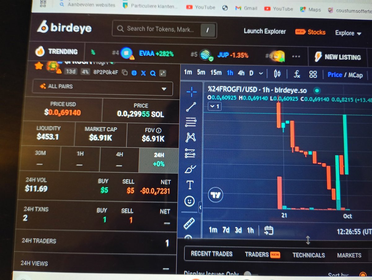 FrogiFiCoin's tweet photo. ⭐Birdeye: ⭐movement on the screen last nicht. With only a 5 dollar investment. Price raised a lot with that investment. Hopefully the next who buys FrogFi hold it for a long time. 💯 https://t.co/oOGHQsoJ9G