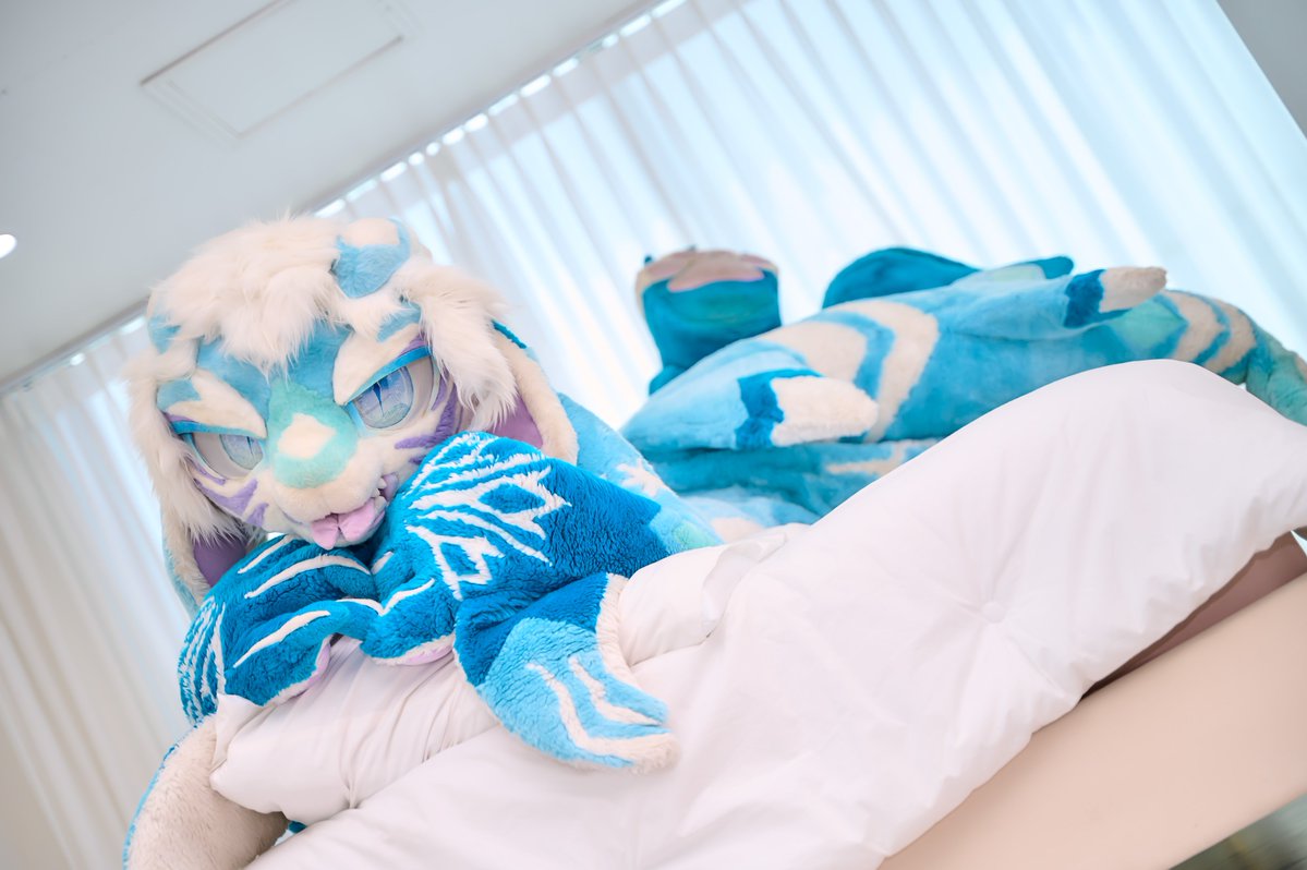 BlazeMir_'s tweet photo. 新しい場所にお引っ越ししました〜🏠❄️🦈
ここでも仲良くしてね！✨

새로운 곳으로 이사 왔어~🏠❄️🦈
여기서도 잘 부탁해~✨!

#FursuitFriday #シャル 

📸 : @Arum42fourni https://t.co/P7vqyEGG8r