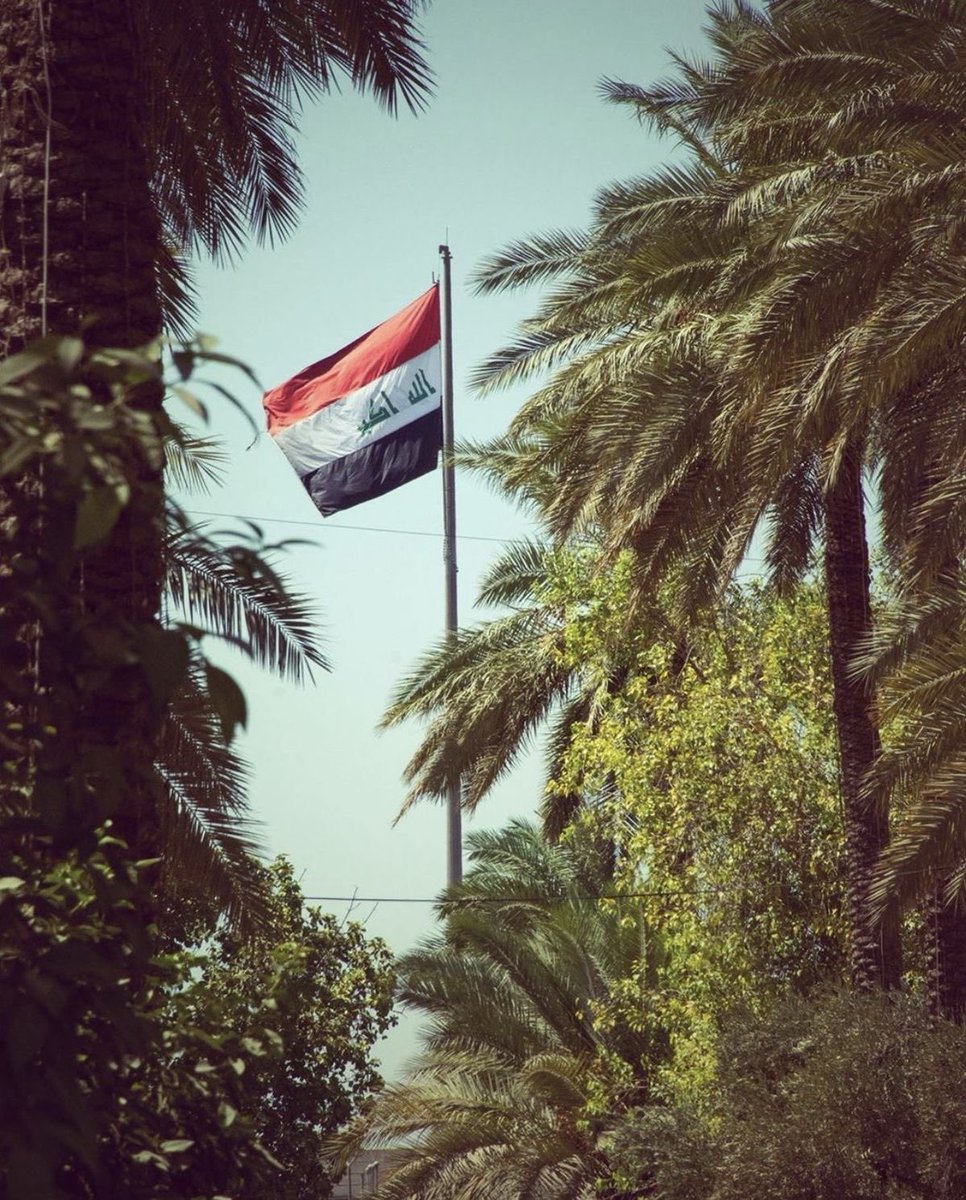 سبعون قرناً .. وكانت لم تزل كُرةً ويطفو ويرسبُ في الطوفانِ ذائبُها إذ حَطَّ أول طيرٍ فوق يابسةٍ فأصبحت أول الدنيا رحائِبُها كان العراق وكانت سومرٌ .. ❤️

#اليوم_الوطني_العراقي 🇮🇶❤️