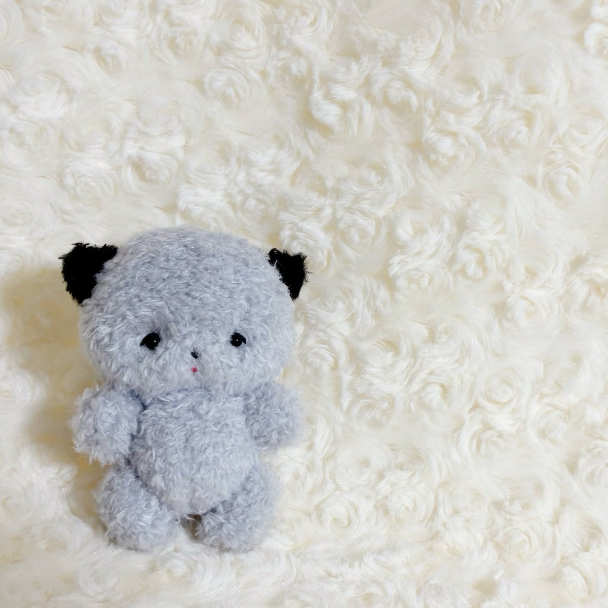にゃ🐱

みにまむちゃんのLサイズ、9.5cmです。

#さんじゅーななど
#ぬいぐるみ