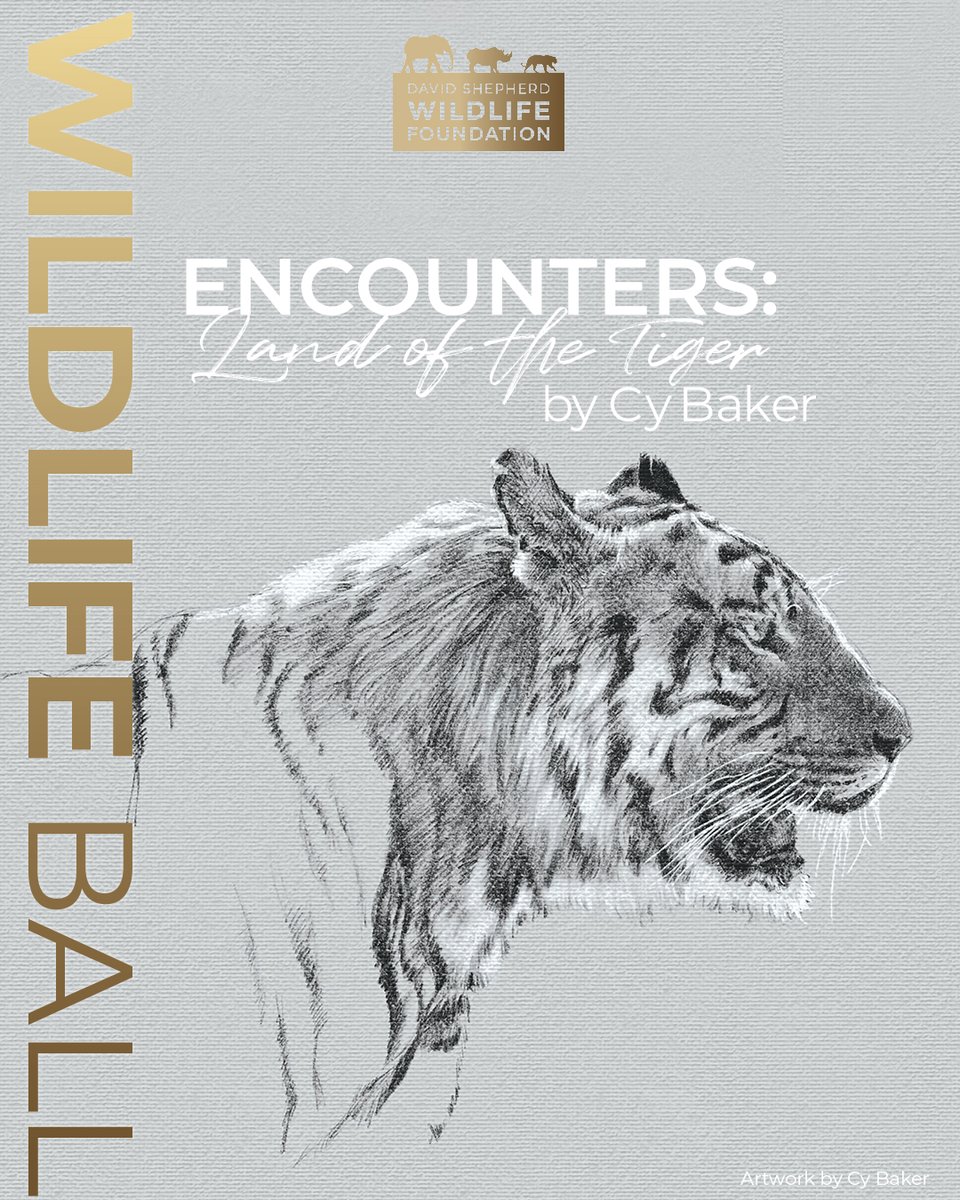 David Shepherd Wildlife Foundation tweet media