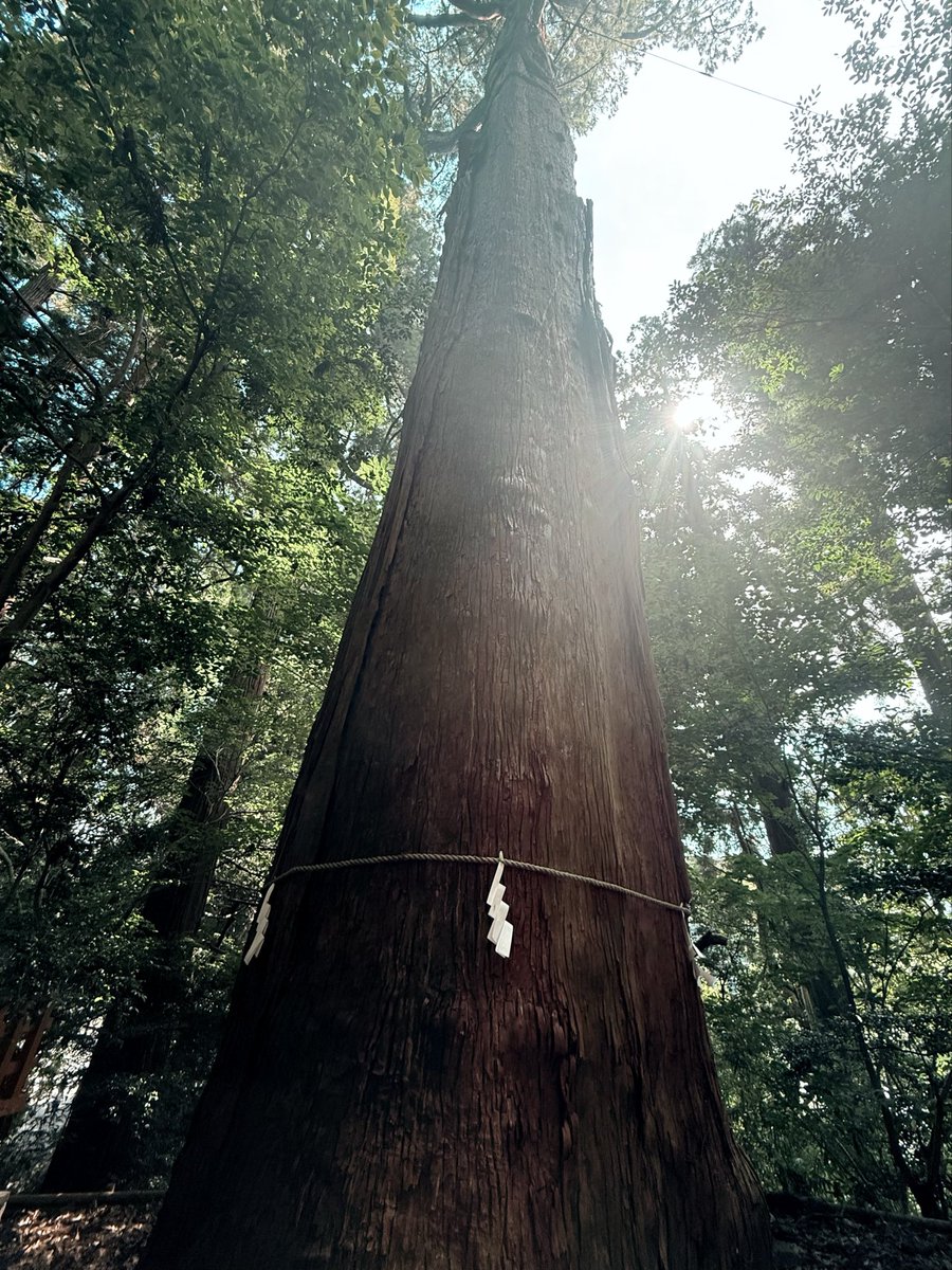 色々とありまして宮崎に帰省してました