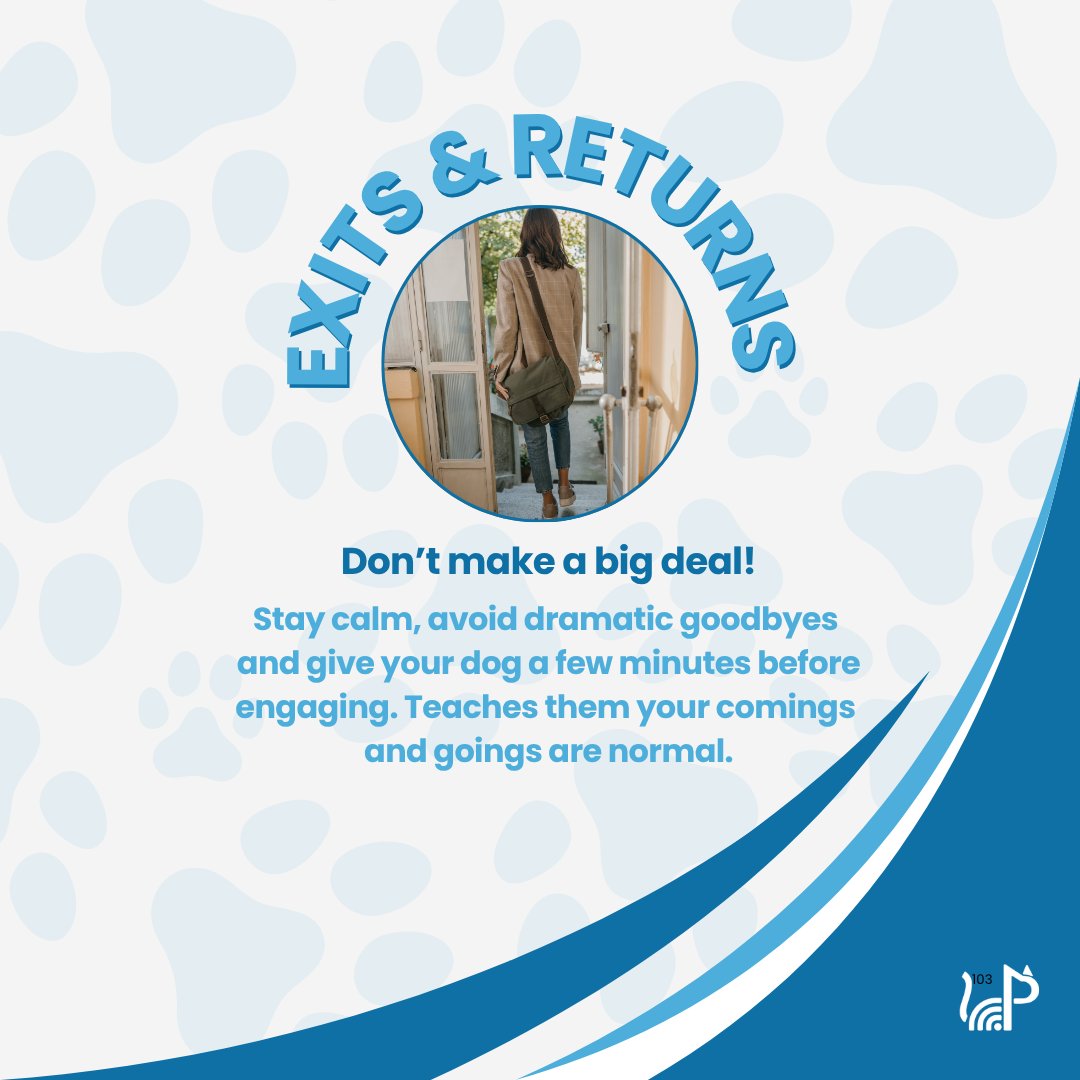 petscanner's tweet photo. Dog seperation anxiety ⏰
Separation anxiety doesn’t fix itself but you can help your dog feel more secure over time.
Follow us for more pet care tips and info!
#PetScanner #SeparationAnxietyDogs #DogAnxietyHelp #DogTrainingTips #VelcroDog #CalmDogs #DogCareTips #PetWellness https://t.co/NLnKp4CIAL