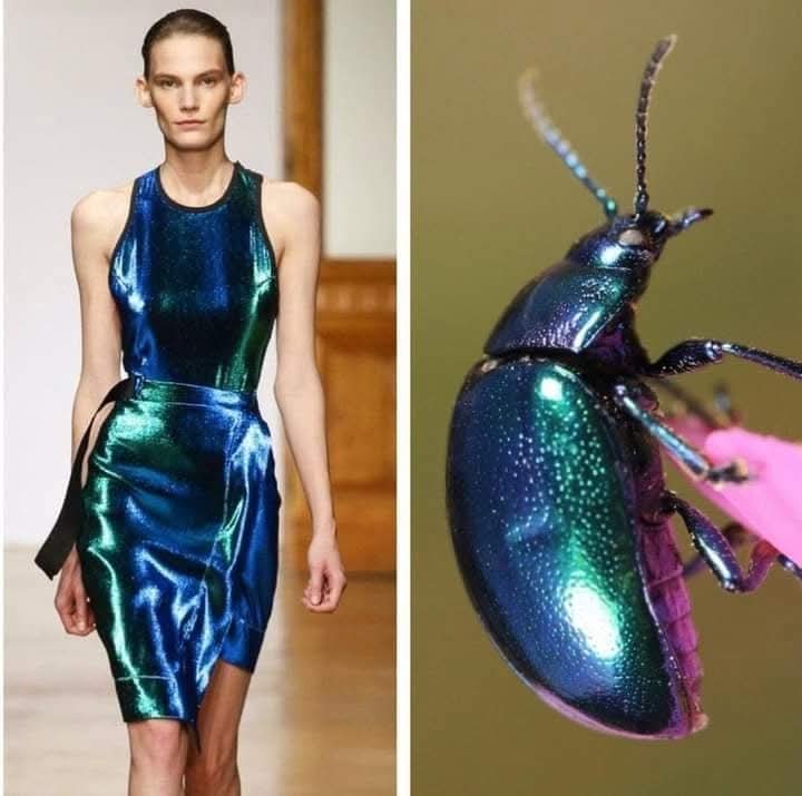 (Cianci Ulises) (@cianciulises) on Twitter photo 