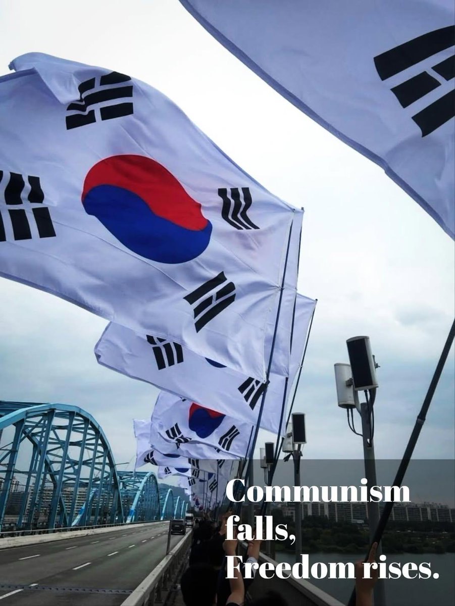 The young people have risen up for the Republic of Korea founded on liberal democracy.

#SaveKorea #CCPOUT #CCPinfiltration #FreeYoon #StopTheSteal #MAGA #MKGA #Anticommunism #Myulgong #DefeatCommunism #messageFromKorea #NoCommunism