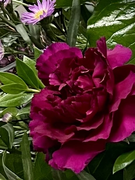 StellaParton's tweet photo. Happy Friday! https://t.co/wTetiSv2Tk
