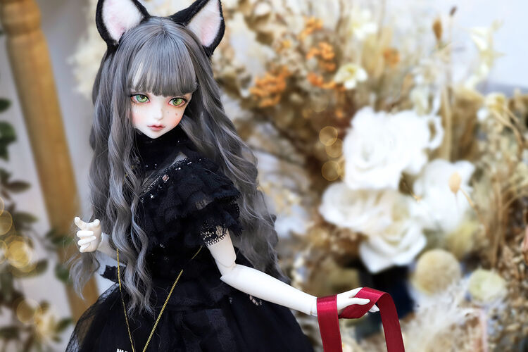 生後3ヶ月♡子猫ちゃん♡綺麗なオメメの美人さん♡アートドール♡ぬいぐるみ♡ 生後3ヶ月♡子猫ちゃん♡綺麗なオメメの美人さん♡アートドール