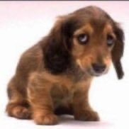 drataylorswift's tweet image. ELA ADMITINDO QUE LIGA SIM PRA CASAMENTO E QUE MENTIU MEU DEUS NOSSA TAYPRINCESS É UMA ROMÂNTICA COMPLETA