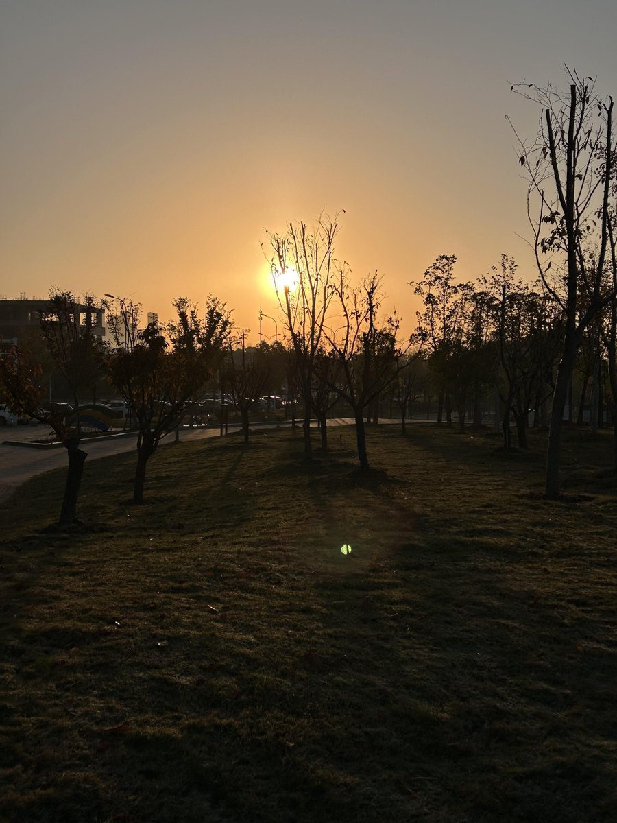 美しい夕日