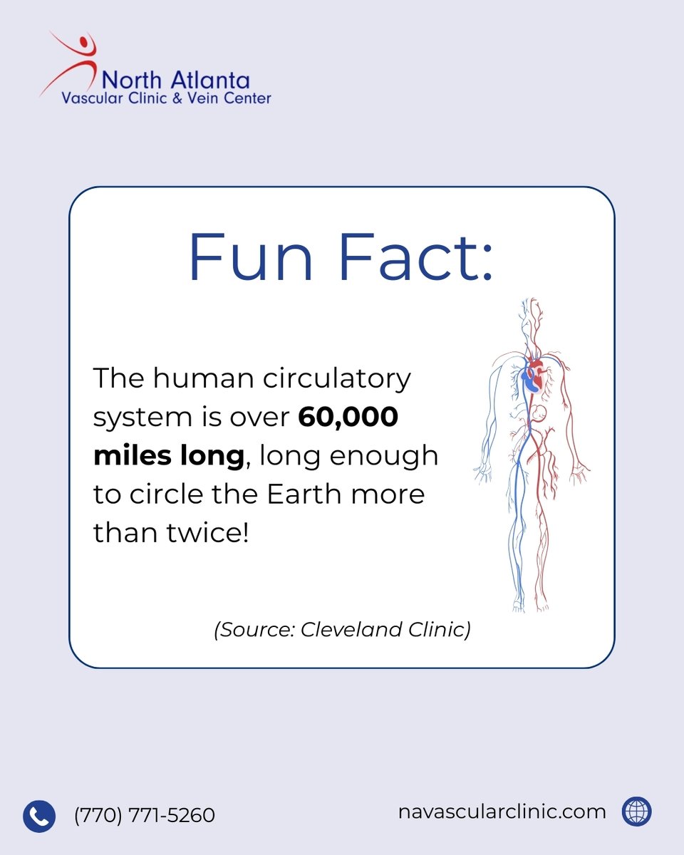 northatlanatva1's tweet image. Your circulatory system is an incredible network! Stretching over 60,000 miles, it delivers oxygen and nutrients throughout your body.

Keep it healthy with regular vascular check-ups.
 
#FunFact #CirculatorySystem #HealthyLiving #NAVC