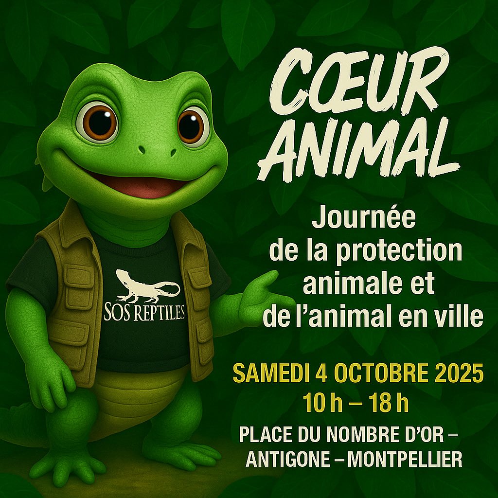 ReptilesSos's tweet photo. 🐾 Demain, retrouvez-nous à Montpellier !
De 10h à 18h, nous serons présents à la Journée Cœur Animal ❤️
Venez échanger avec nous, découvrir nos actions et nos projets à venir 🌿✨

💪 Cette année, nous recherchons des bénévoles motivé·e·s pour rejoindre l’aventure ! https://t.co/cTkaHHm7L5