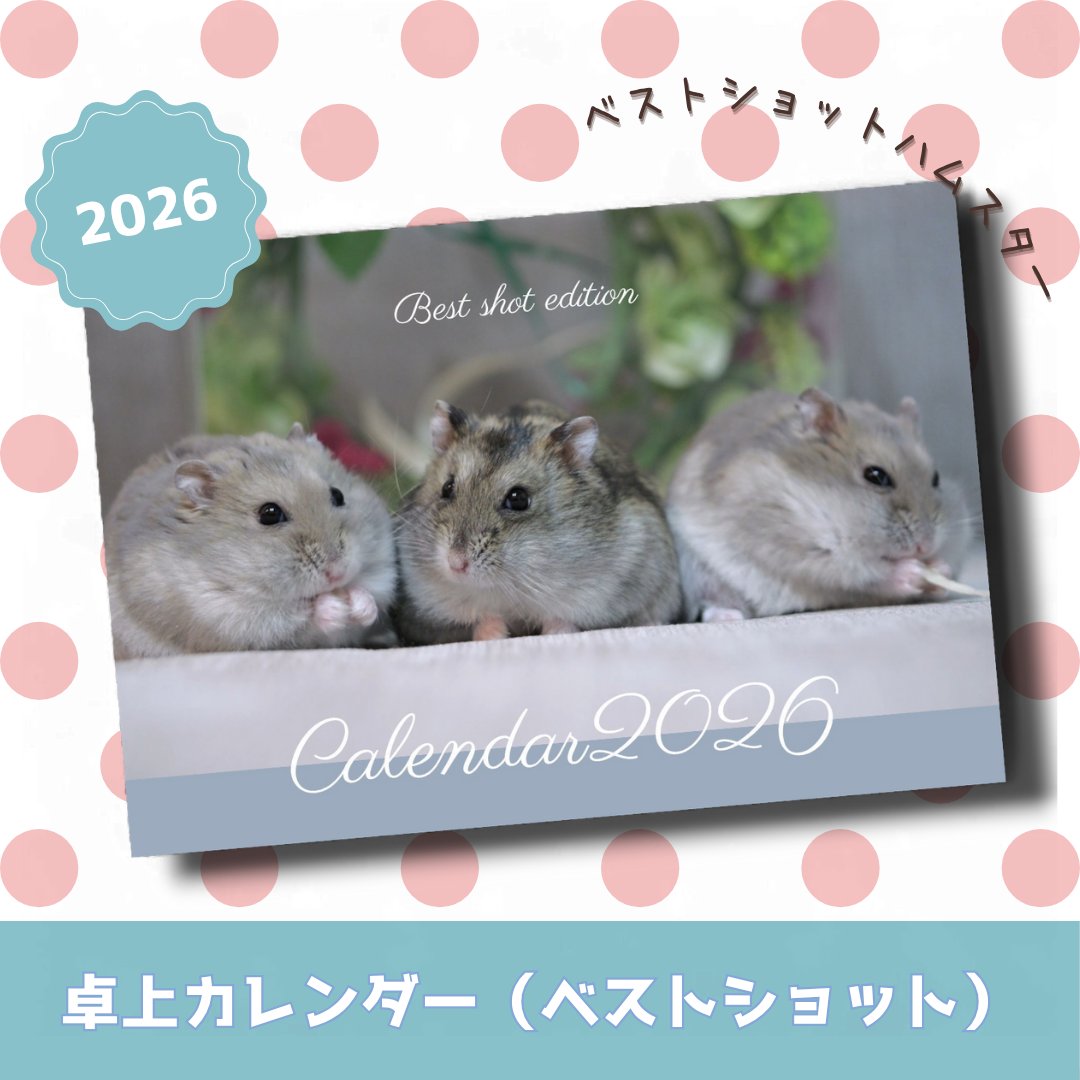 ハムまる様S ABSN on X