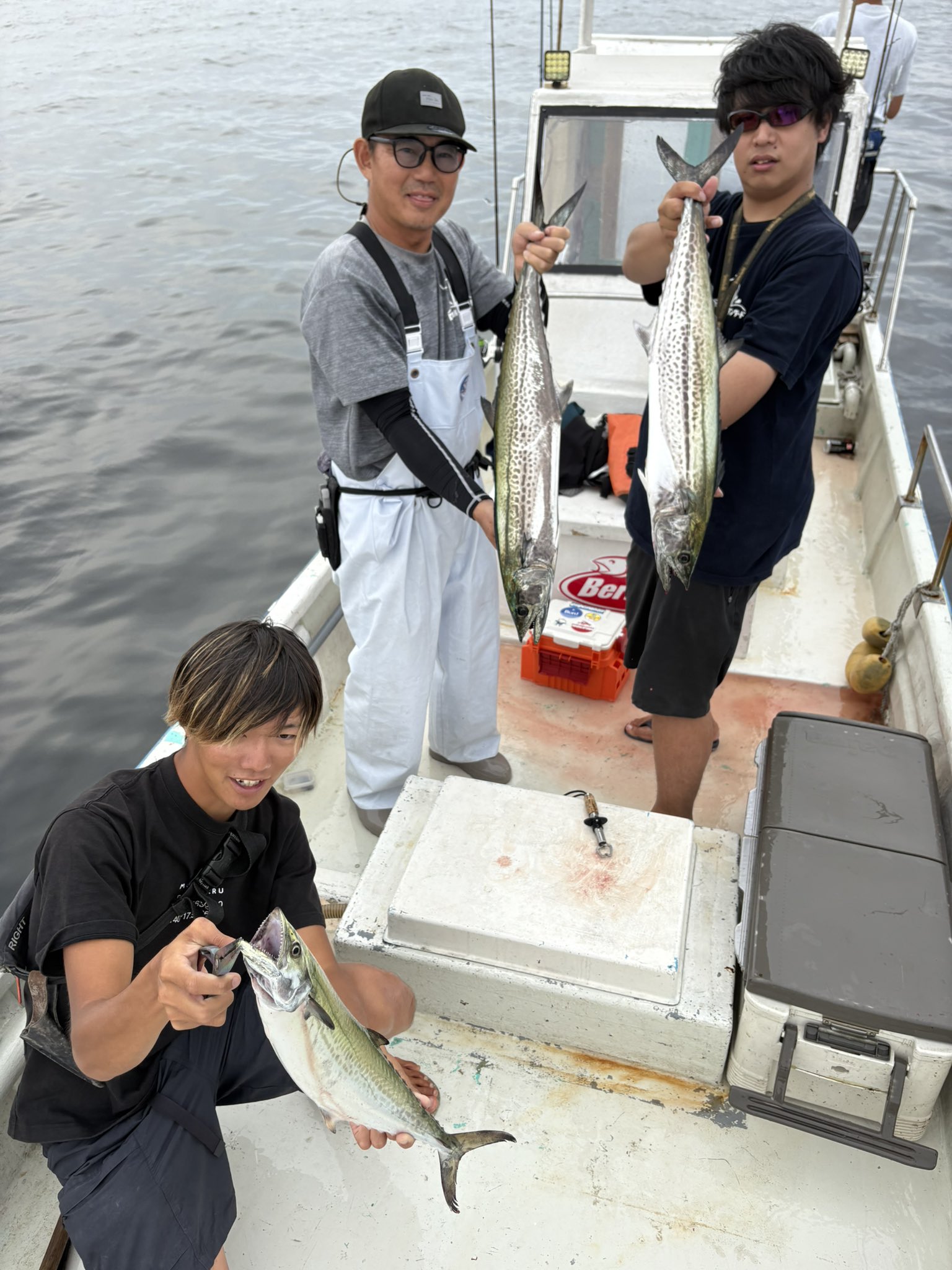 かるかりふぁー@鯵柱 (@angustifrons) / X