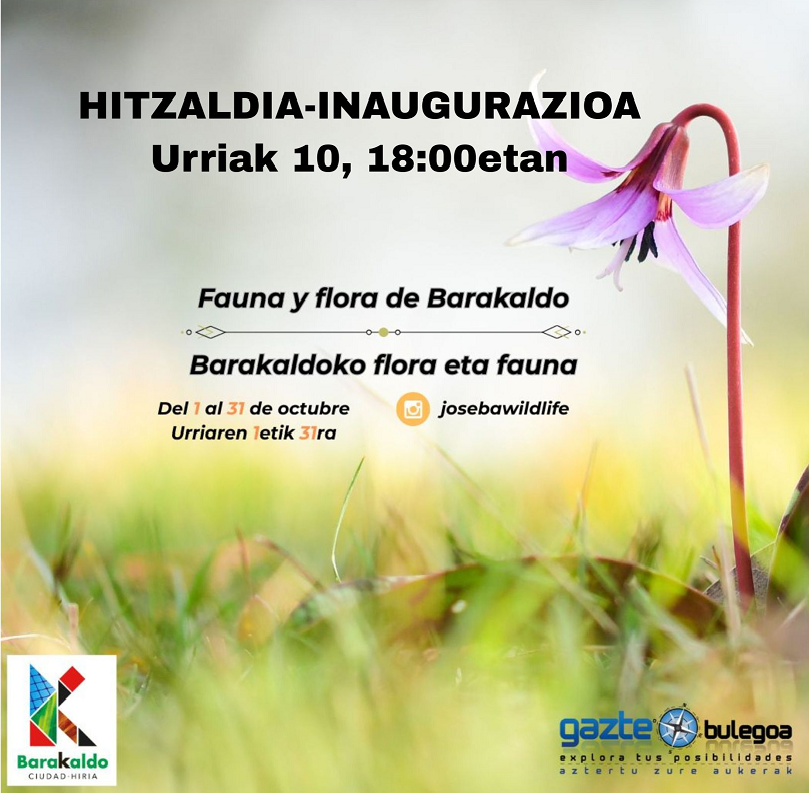 GazteBulegoaBrk's tweet photo. 🐦🥀 Expo Gaztea. Hitzaldia-Inagurazioa: Barakaldoko flora eta fauna.
Gazte Bulegoa Barakaldo. Urriak 10, 18:00etan.
Anima zaitez!
🐦🥀 Expo Gaztea. Conferencia-Inaguración: flora y fauna de Barakaldo.
Gazte Bulegoa Barakaldo. 10 de octubre, 18:00 horas.
¡Anímate!
#expogaztea https://t.co/ZHdmbJHKcM