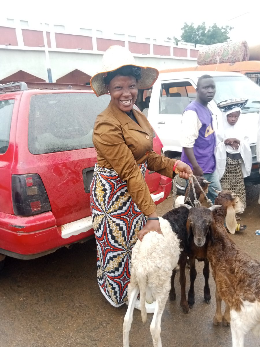 chiwendu856's tweet photo. Good news Guys, our 35 goats and 2 cows that left kano to Lagos on Tuesday arrived Lagos yesterday night, my customer called this morning and he was so excited,
Thank u sir I appreciate your patronage 🙏🥰

@chiwendu856 kano is always available to deliver quality to your location https://t.co/sx88ffzRhu