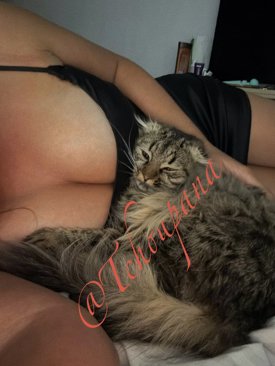 Qui veut être à la place du chat ?