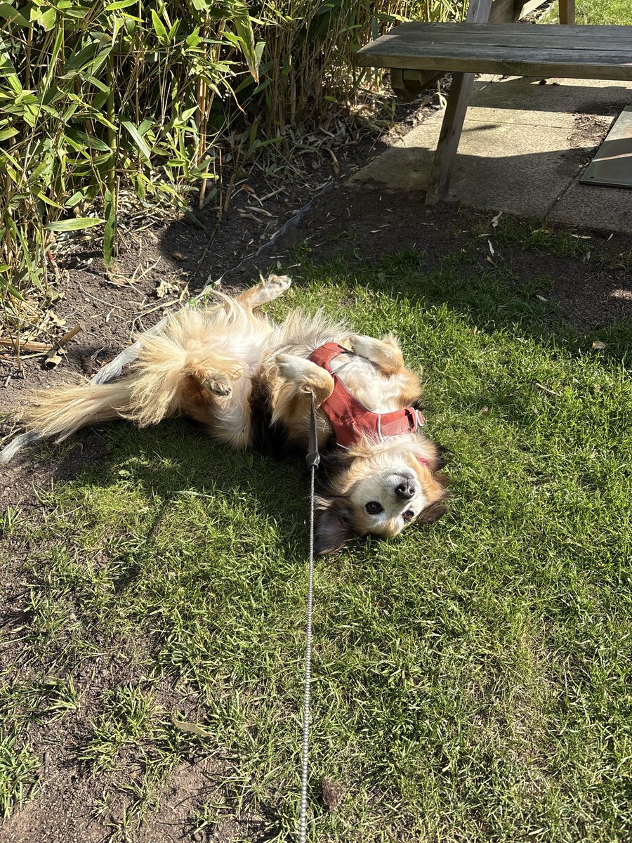 Ben Adsett tweet media