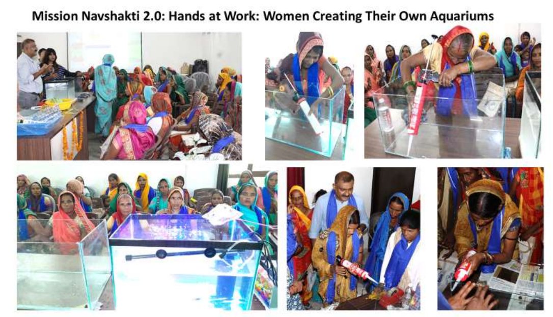 NABiC_SCSP's tweet image. #missionnavshakti  Rural women  from SHG learned how to assemble aquariums, understand filtration systems, and gain hands-on experience fabricating and setting up their aquariums.  #KVKSitapur  #ICAR_NBFGR